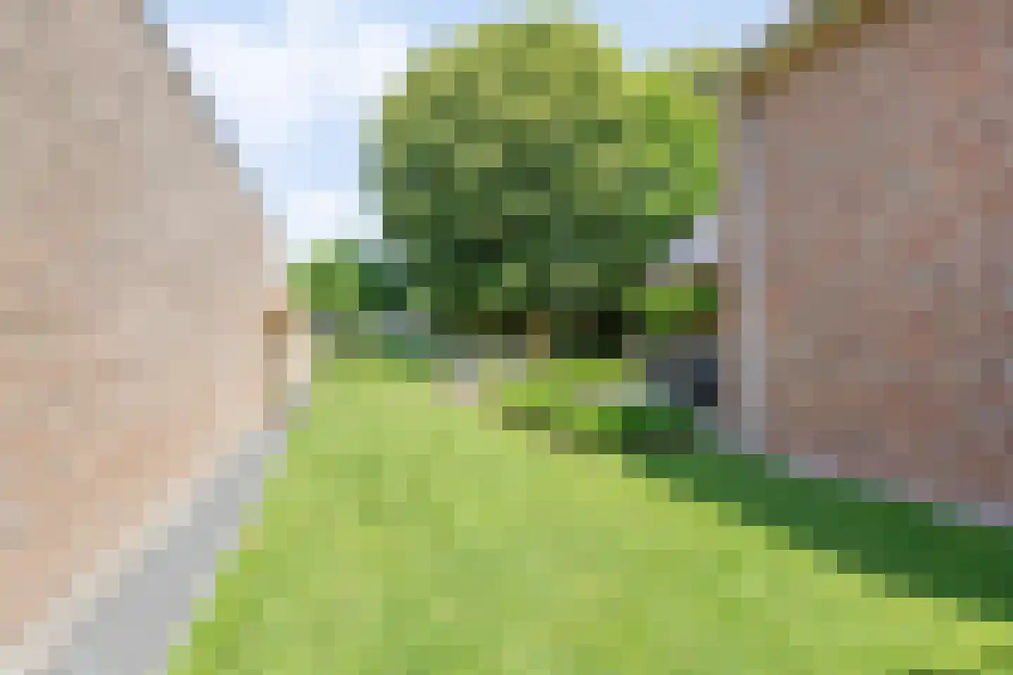 De Karekiet 3 Budel thumbnail 38