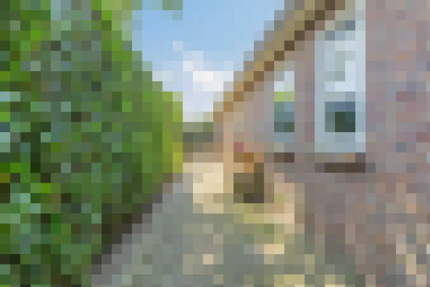 De Karekiet 3 Budel thumbnail 39
