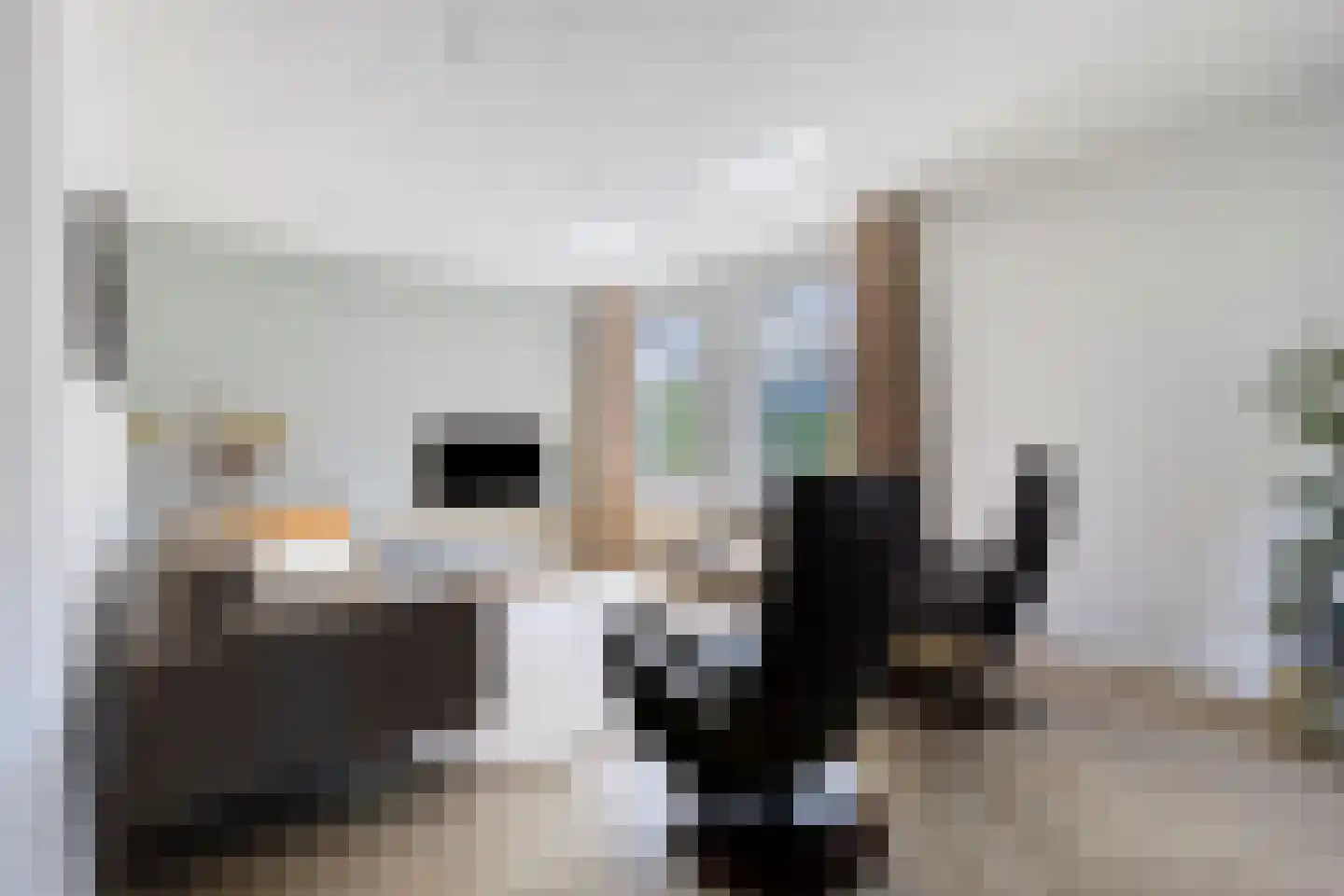 De Karekiet 3 Budel thumbnail 6