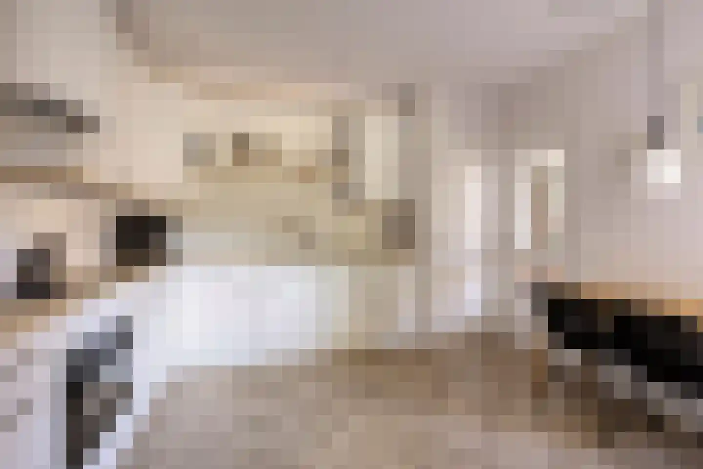 De Karekiet 3 Budel thumbnail 9