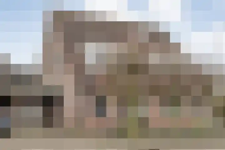 De Karekiet 3 Dedemsvaart