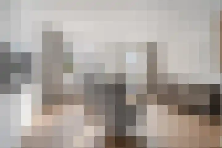 De Karekiet 3 Dedemsvaart thumbnail 10