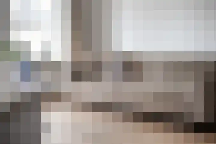 De Karekiet 3 Dedemsvaart thumbnail 13