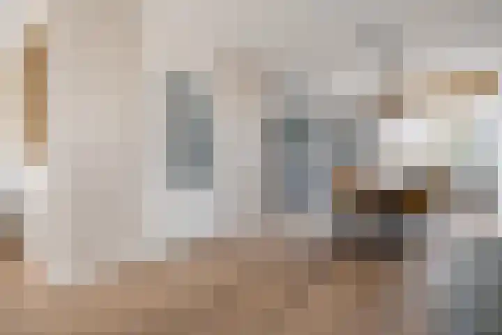 De Karekiet 3 Dedemsvaart thumbnail 15