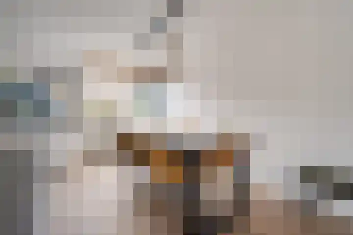 De Karekiet 3 Dedemsvaart thumbnail 16