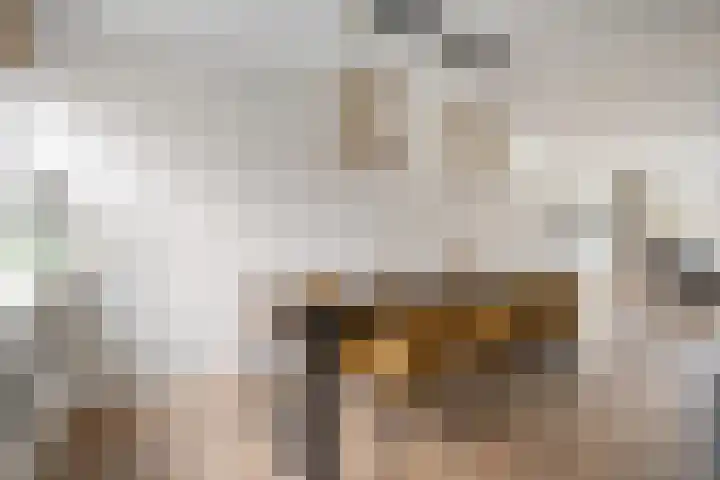 De Karekiet 3 Dedemsvaart thumbnail 17