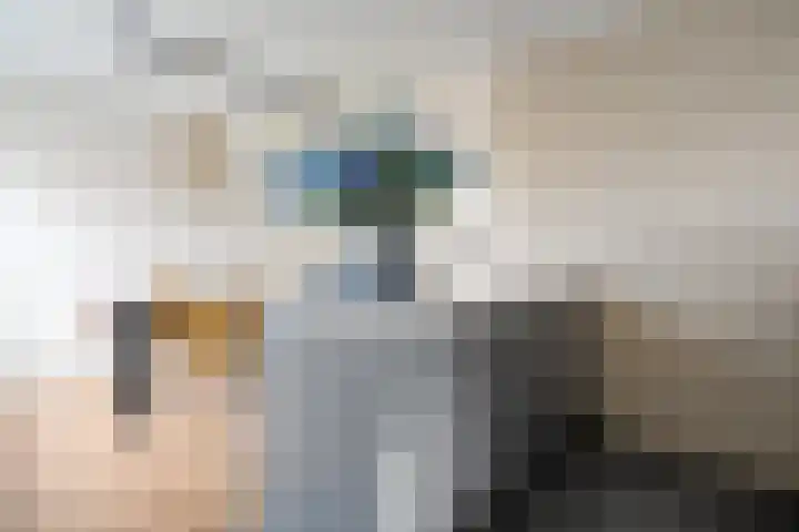 De Karekiet 3 Dedemsvaart thumbnail 18
