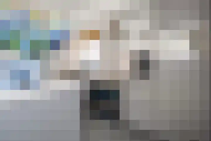 De Karekiet 3 Dedemsvaart thumbnail 19