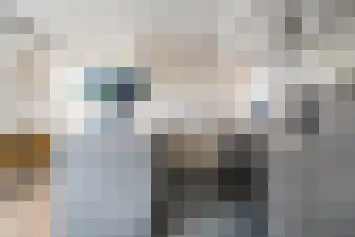 De Karekiet 3 Dedemsvaart thumbnail 20
