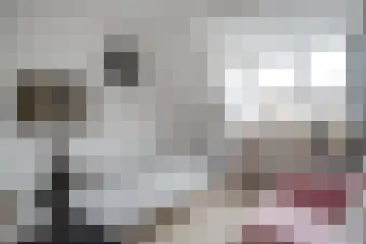 De Karekiet 3 Dedemsvaart thumbnail 27