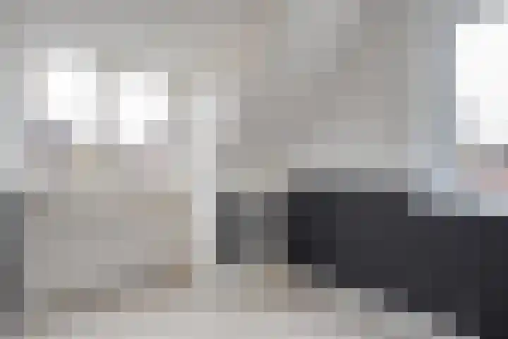 De Karekiet 3 Dedemsvaart thumbnail 29