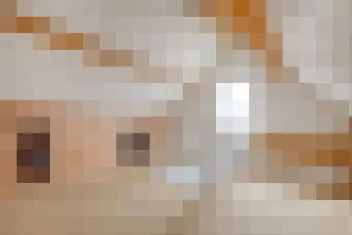 De Karekiet 3 Dedemsvaart thumbnail 34