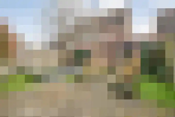 De Karekiet 3 Dedemsvaart thumbnail 37