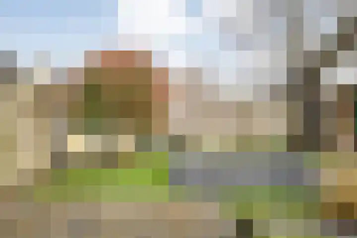 De Karekiet 3 Dedemsvaart thumbnail 38