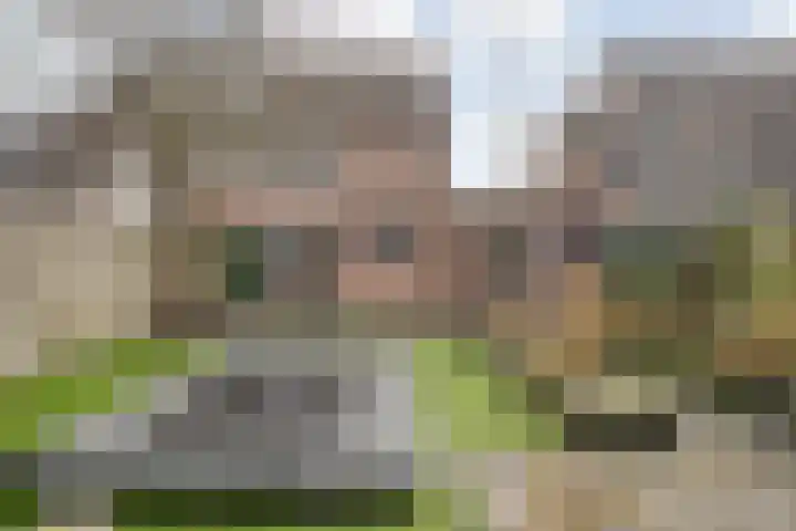 De Karekiet 3 Dedemsvaart thumbnail 39