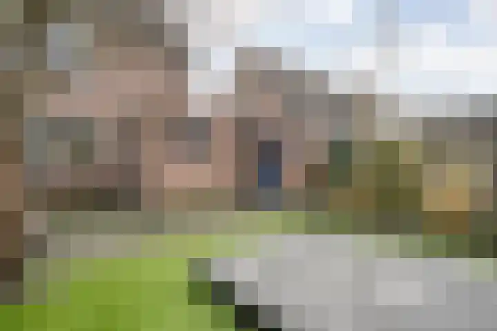 De Karekiet 3 Dedemsvaart thumbnail 40