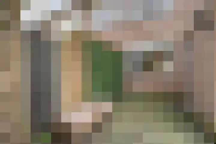De Karekiet 3 Dedemsvaart thumbnail 41