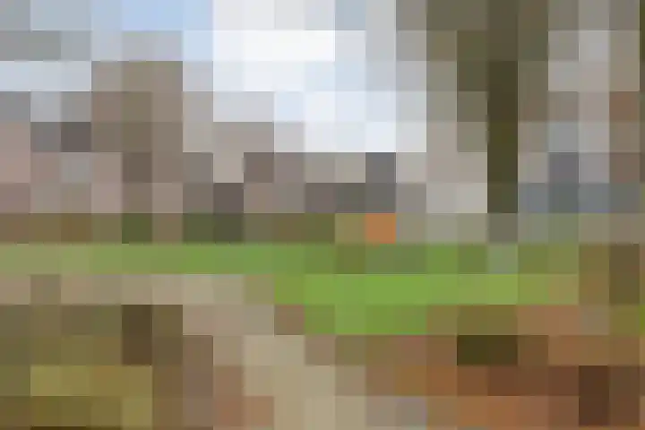 De Karekiet 3 Dedemsvaart thumbnail 43