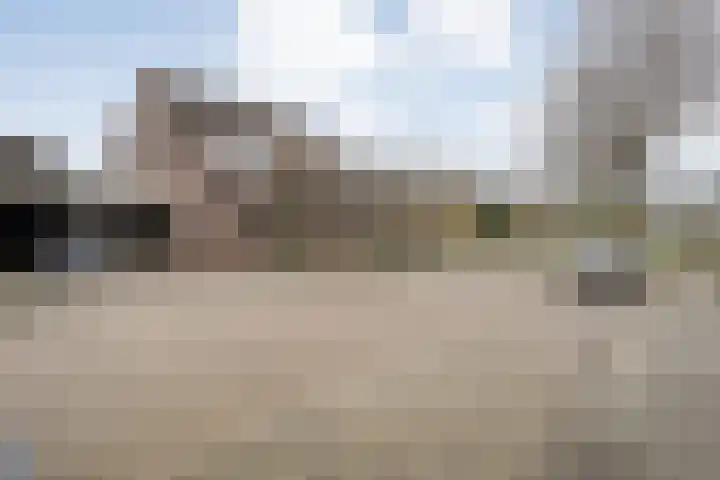 De Karekiet 3 Dedemsvaart thumbnail 6