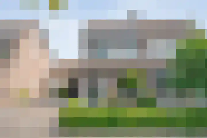De Karekiet 44 en Vriezenveen