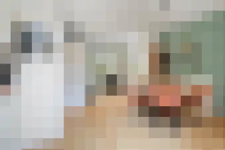 De Karekiet 44 Vriezenveen thumbnail 15