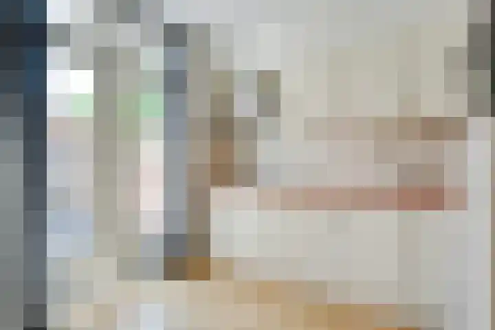 De Karekiet 44 Vriezenveen thumbnail 17