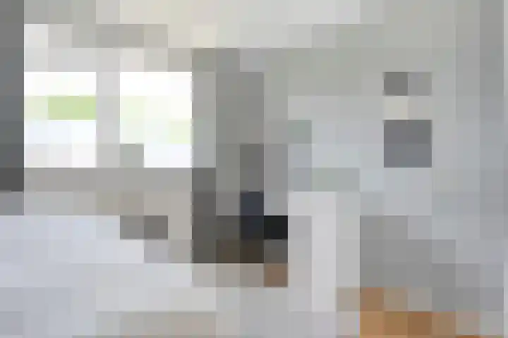 De Karekiet 44 Vriezenveen thumbnail 27