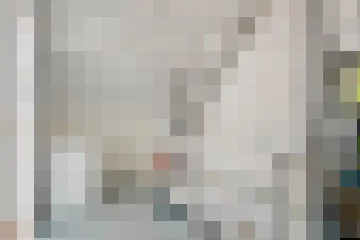 De Karekiet 44 Vriezenveen thumbnail 31