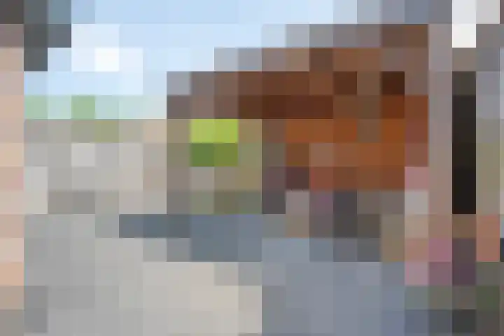 De Karekiet 44 Vriezenveen thumbnail 37