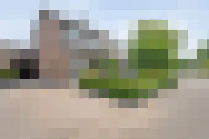 De Karekiet 44 Vriezenveen thumbnail 4