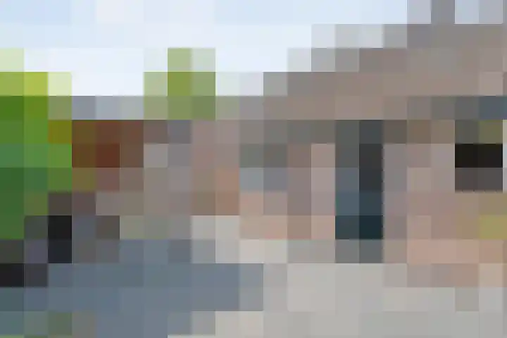 De Karekiet 44 Vriezenveen thumbnail 40