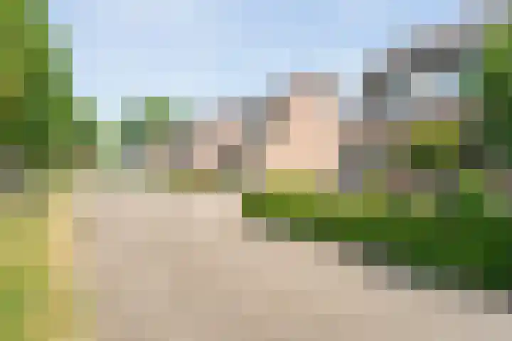 De Karekiet 44 Vriezenveen thumbnail 5