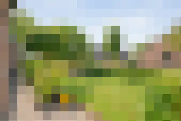 De Karekiet 44 Vriezenveen thumbnail 6