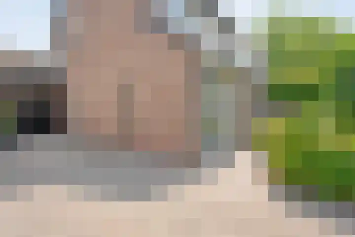 De Karekiet 44 Vriezenveen thumbnail 7