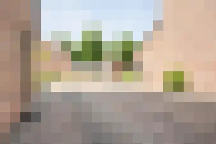 De Karekiet 44 Vriezenveen thumbnail 8