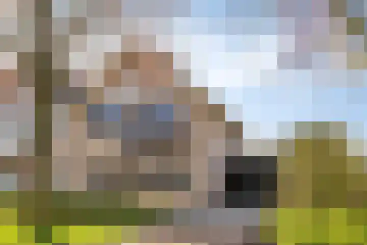 de Karekiet 9 in Denekamp