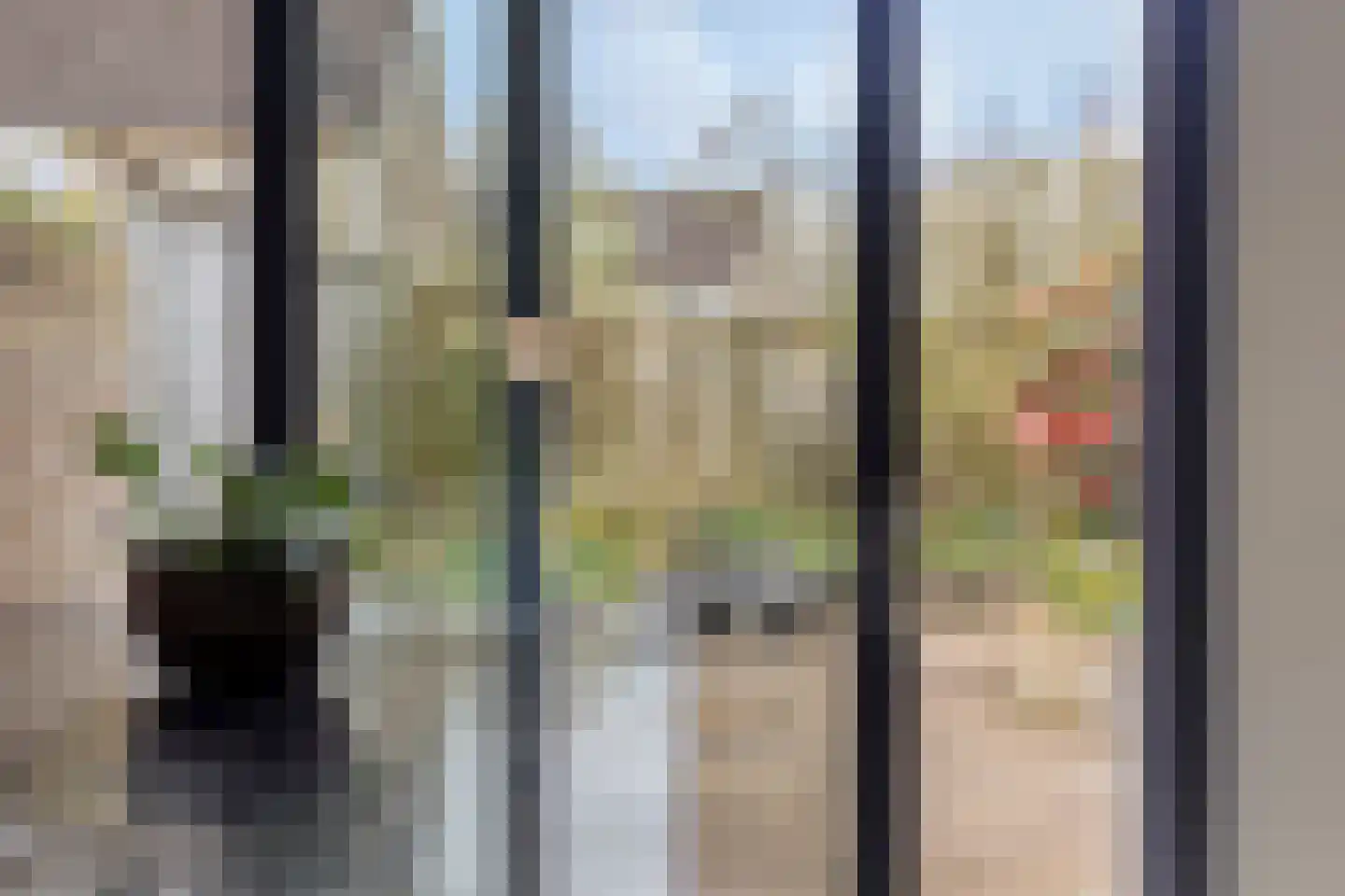 de Karekiet 9 Denekamp thumbnail 10