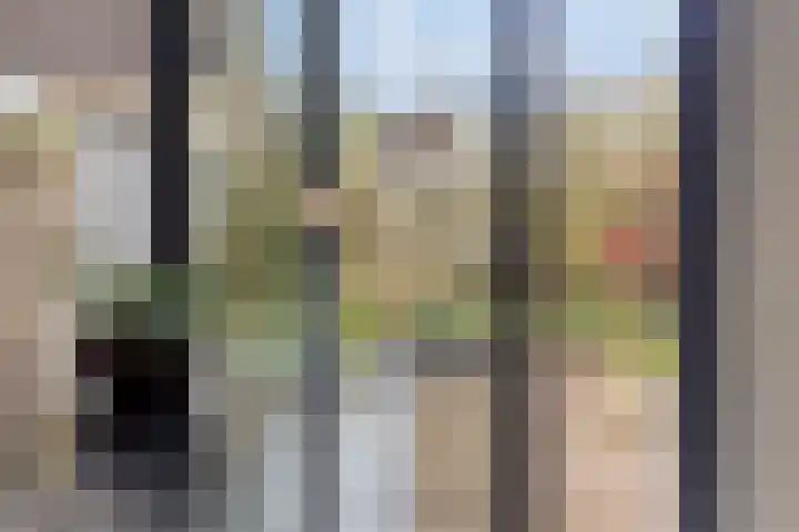de Karekiet 9 Denekamp thumbnail 10