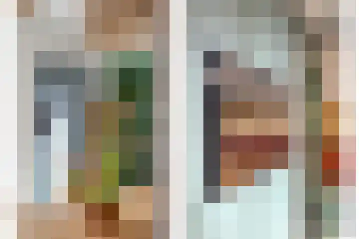 de Karekiet 9 Denekamp thumbnail 15