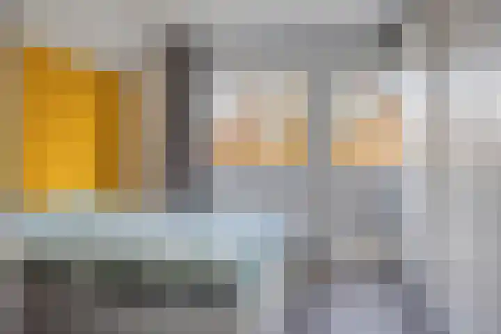de Karekiet 9 Denekamp thumbnail 20