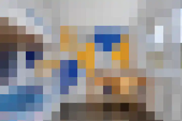 de Karekiet 9 Denekamp thumbnail 24