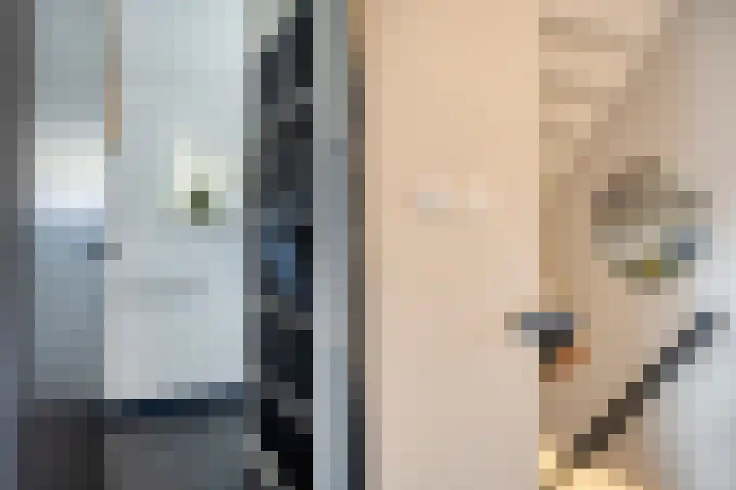 de Karekiet 9 Denekamp thumbnail 30