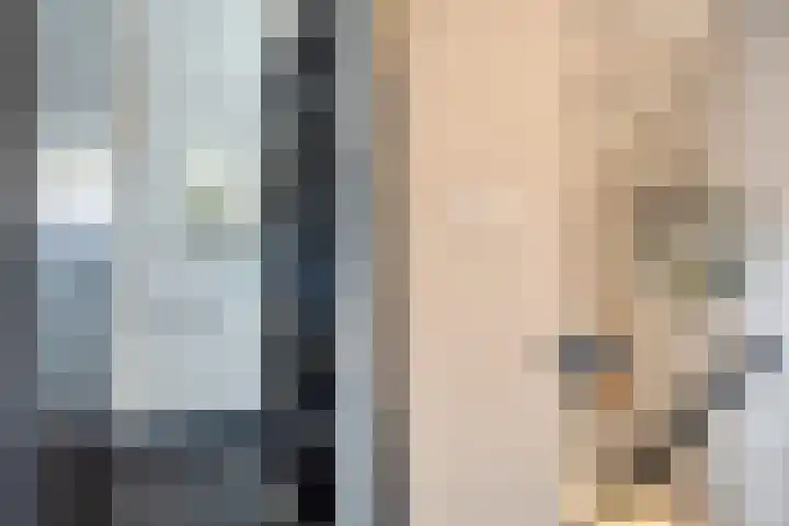 de Karekiet 9 Denekamp thumbnail 30