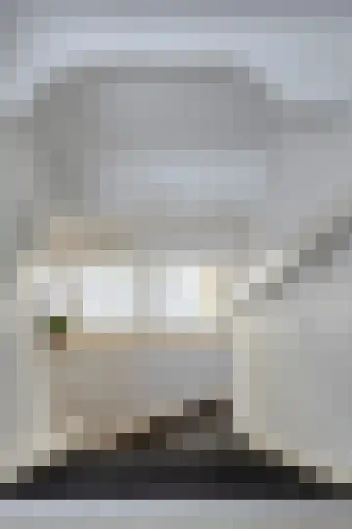 de Karekiet 9 Denekamp thumbnail 31