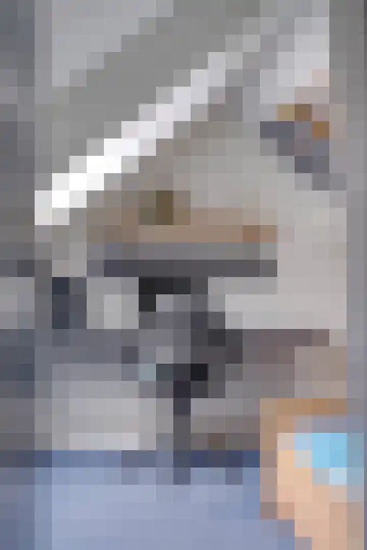 de Karekiet 9 Denekamp thumbnail 33