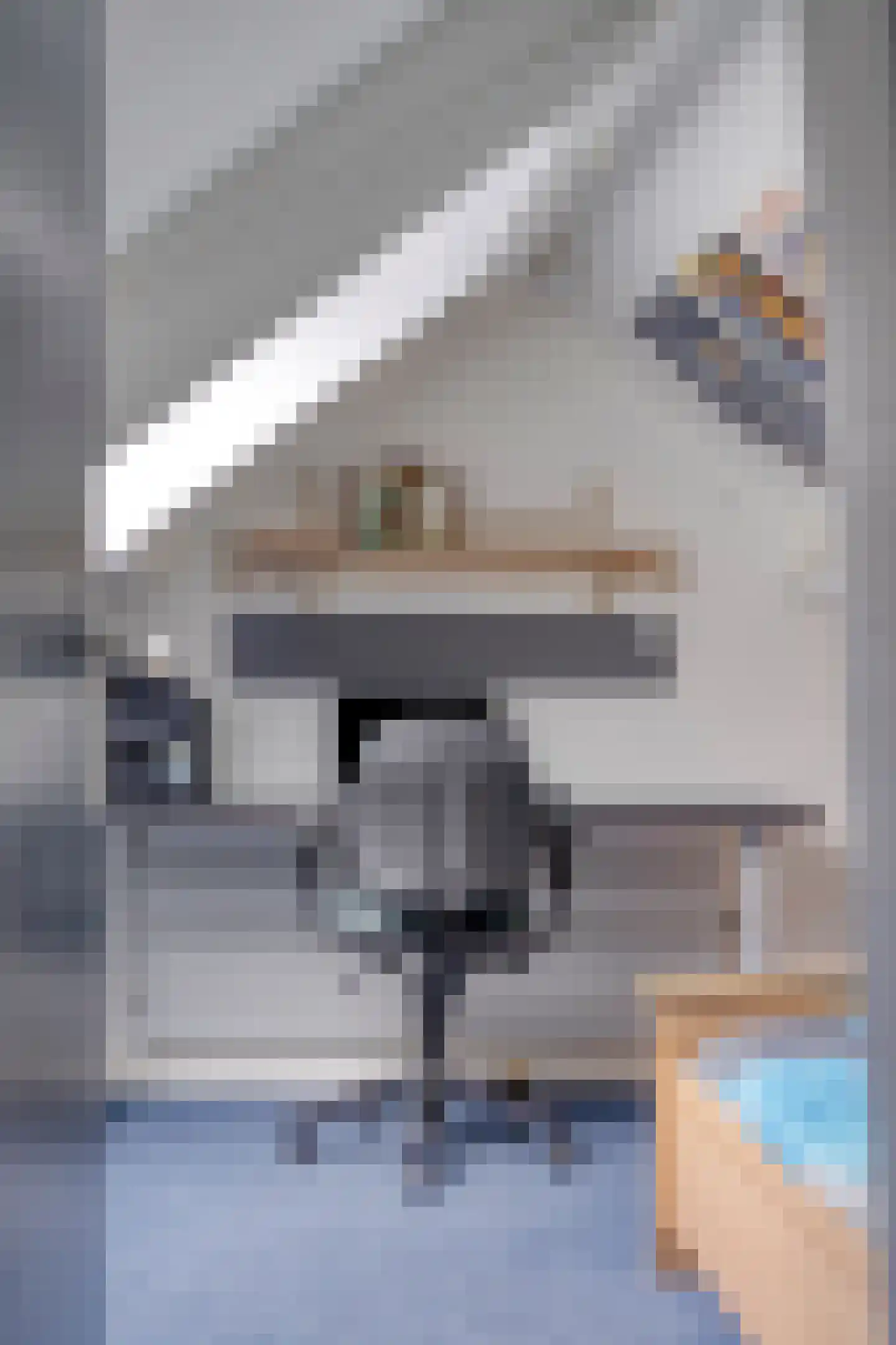 de Karekiet 9 Denekamp thumbnail 33