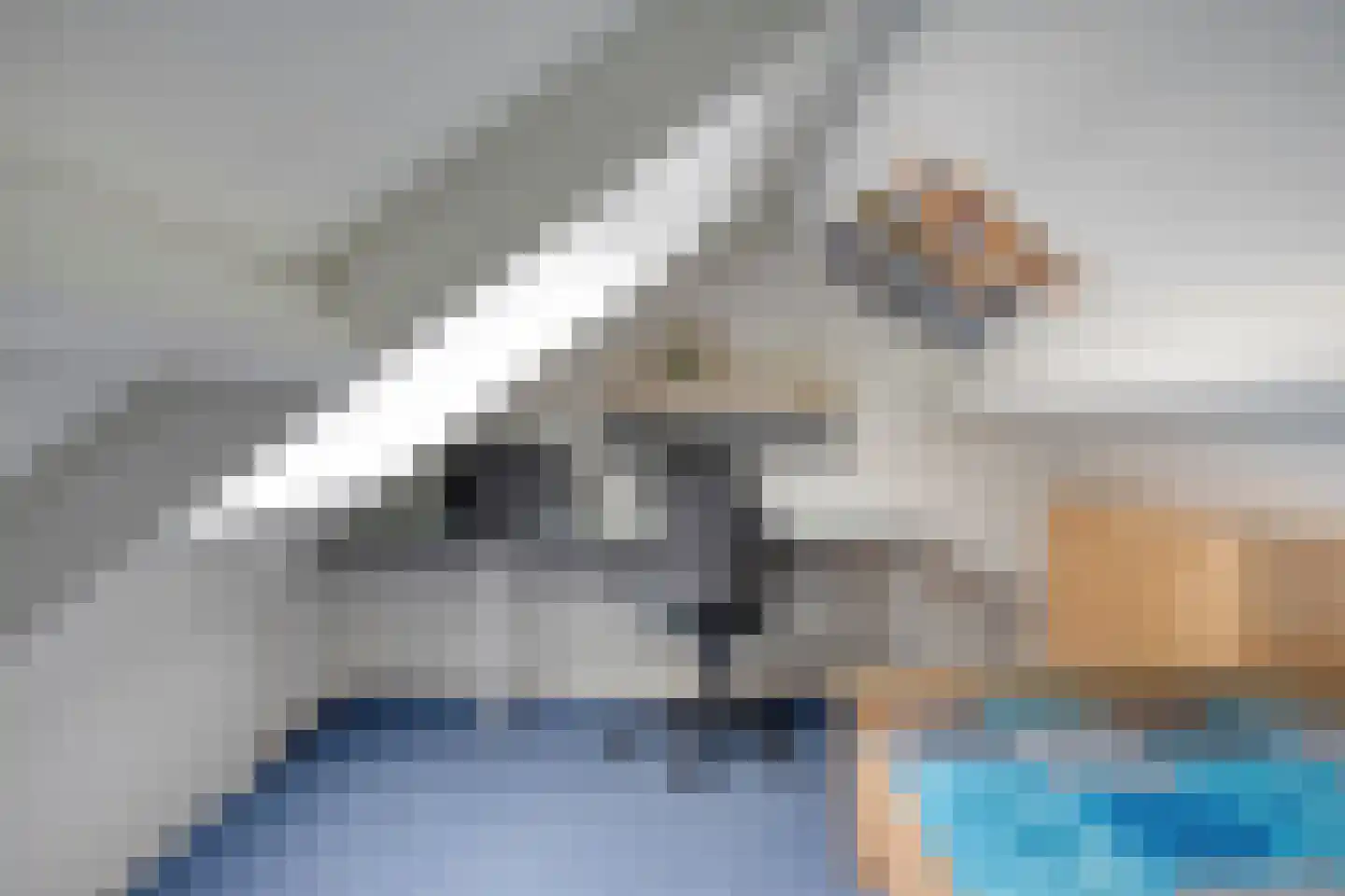 de Karekiet 9 Denekamp thumbnail 34