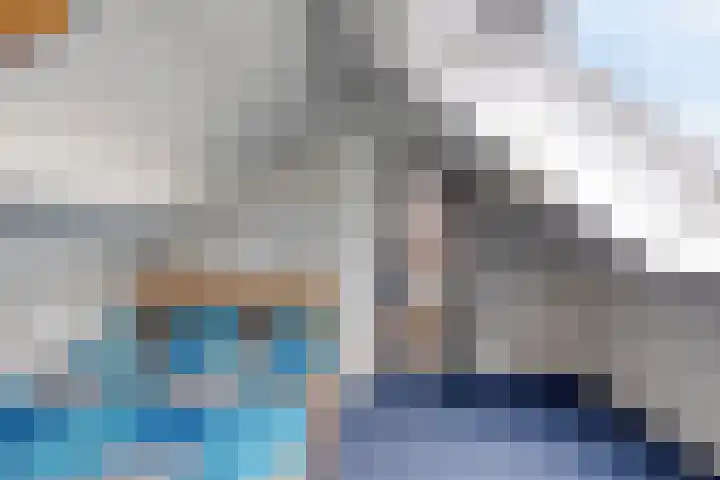 de Karekiet 9 Denekamp thumbnail 35