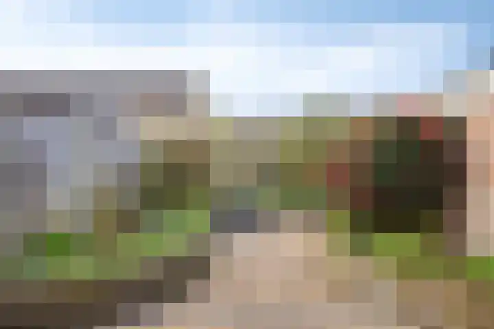 de Karekiet 9 Denekamp thumbnail 36