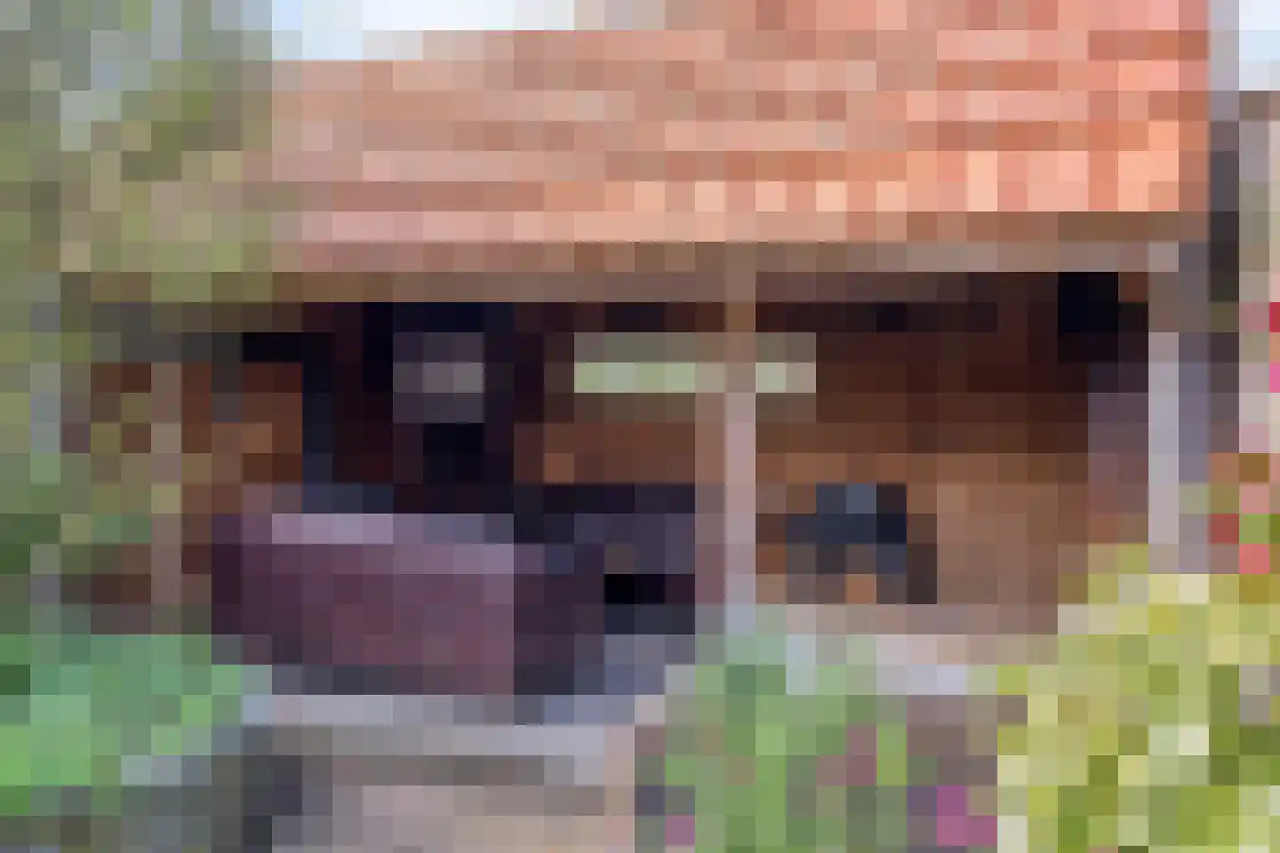 de Karekiet 9 Denekamp thumbnail 37